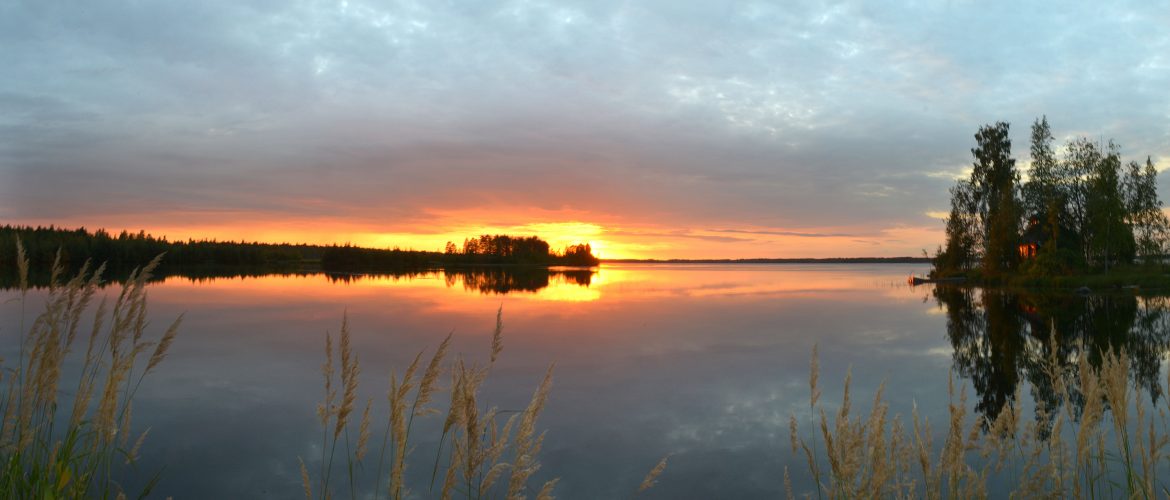 Halsua-viikko 27.6.-5.7.2026
